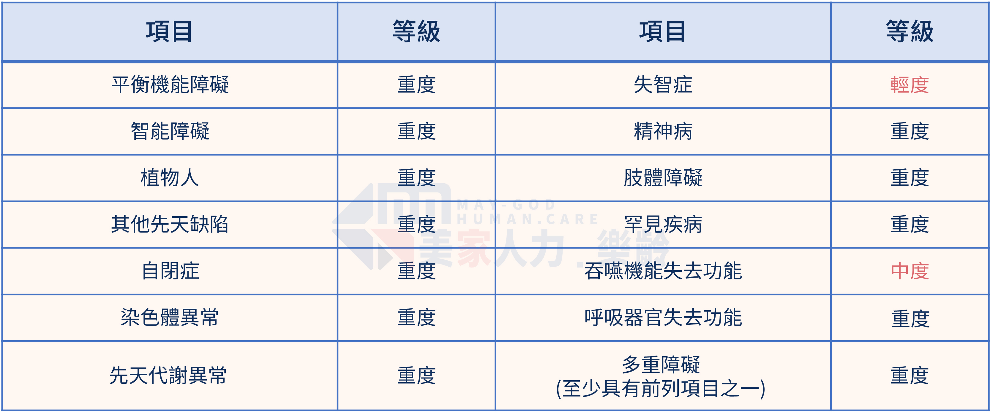 特定身心障礙手冊項目